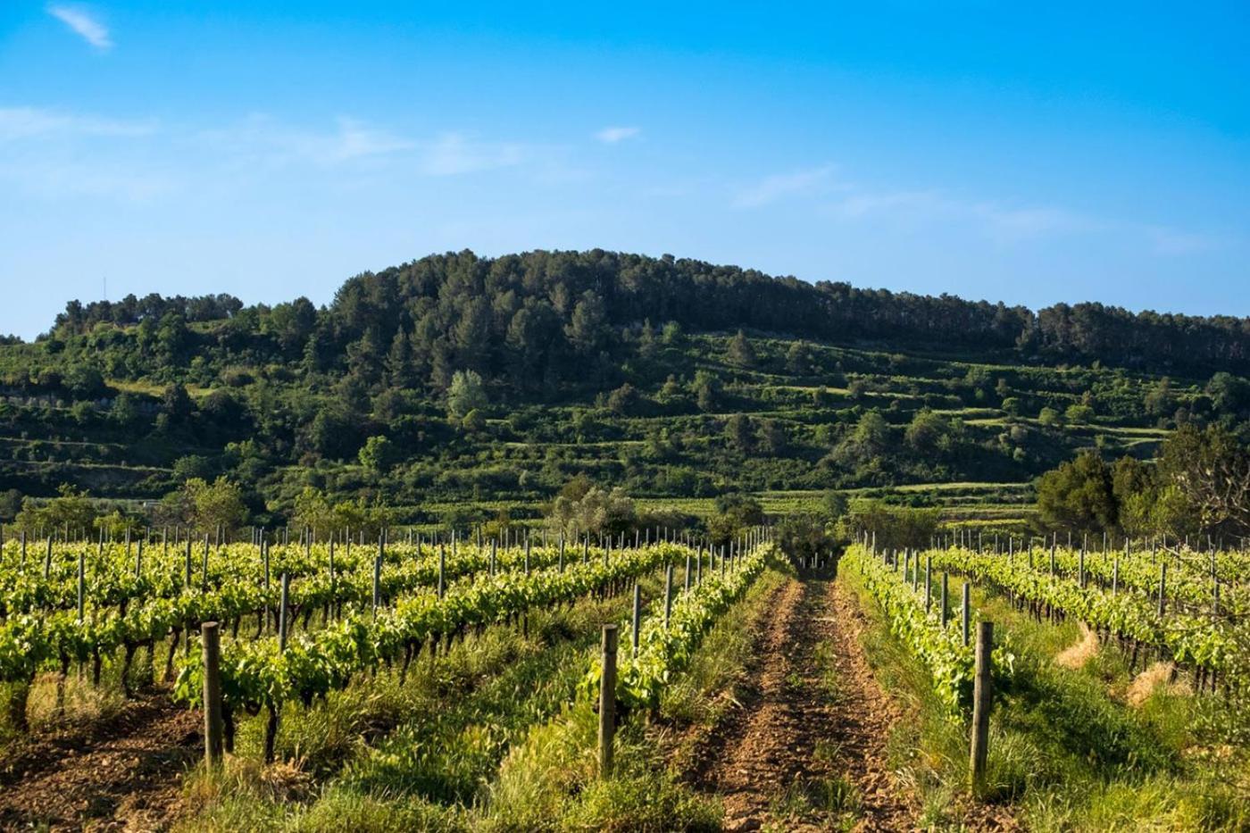 Hotel Air Penedes Vilafranca del Penedès Dış mekan fotoğraf